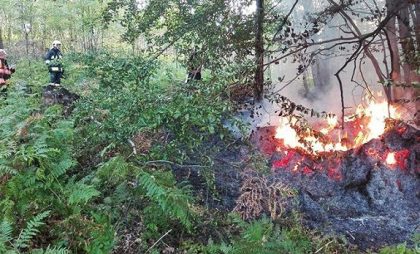 Kolejne pożary traw w powiecie lublinieckim! Służby apelują o rozsądek.