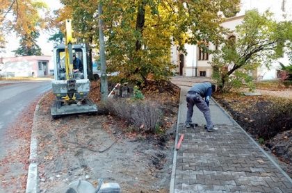 Przebudowa chodnika w rejonie lublinieckiego Pomnika Przyrody – dla bezpieczeństwa, dla żywotności drzewa