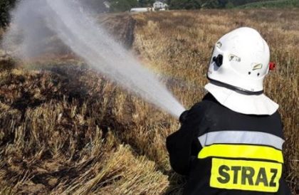 Strażacy apelują o niewypalanie traw. Mamy pierwsze w tym roku pożary nieużytków w powiecie lublinieckim