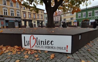 III Miejski Projekt Streetworkingowy “Lubliniec – Miasto Dobrych Emocji” 2021. ILE ZAROBILI INSTRUKTORZY?