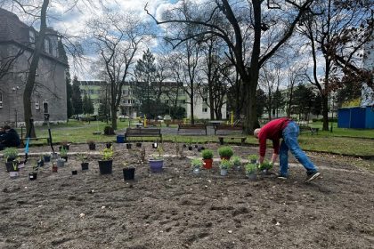 Lubliniec: Uczniowie V LO w Gliwicach posadzili miododajne rośliny na terenie Wojewódzkiego Szpitala Neuropsychiatrycznego
